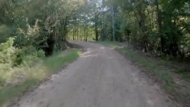 Οδηγώντας Κάτω Από Ένα Χωματόδρομο Που Περιβάλλεται Από Δέντρα Γρήγορα — Αρχείο Βίντεο