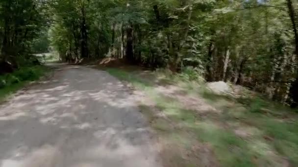 Οδηγώντας Κάτω Από Ένα Χωματόδρομο Που Περιβάλλεται Από Δέντρα Γρήγορα — Αρχείο Βίντεο