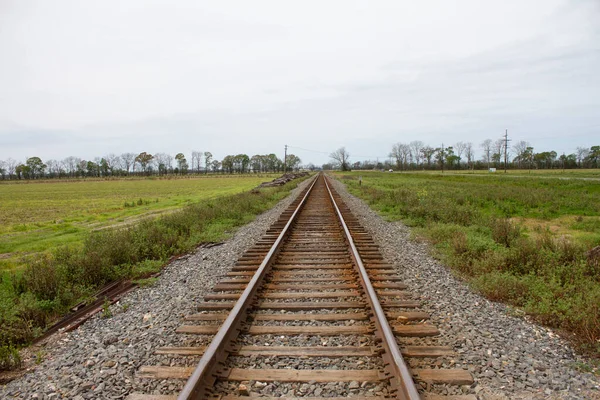 Leading Line Railroad Tracks Image High Quality Photo — Stock Photo, Image
