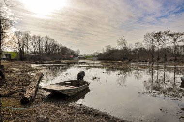 Güzel ve ürkütücü Louisiana bataklığı. Yüksek kalite fotoğraf