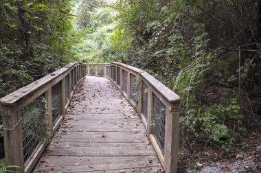Sessiz yürüyüş yolu ya da ormanda köprü. Yüksek kalite fotoğraf