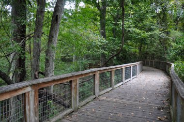 Sessiz yürüyüş yolu ya da ormanda köprü. Yüksek kalite fotoğraf