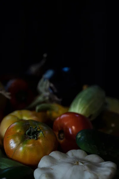 Sommergemüse Ernte Mix Aus Verschiedenen Gemüsesorten Darunter Tomaten Knoblauch Kürbis — Stockfoto