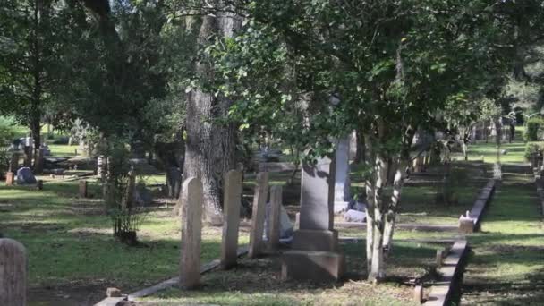 Canlı Meşe Ağaçları Olan Güney Mezarlığı Yüksek Kalite Görüntü — Stok video