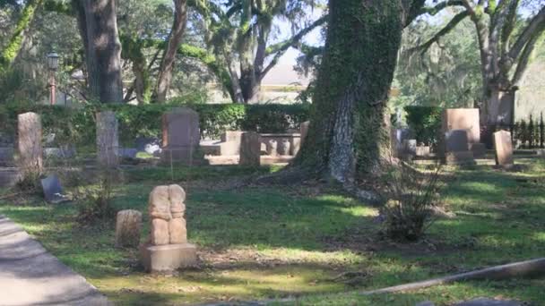 Zuidelijke Begraafplaats Met Levende Eikenbomen Hoge Kwaliteit Beeldmateriaal — Stockvideo