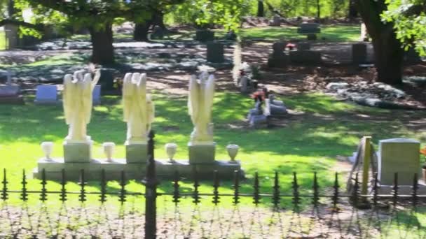 Canlı Meşe Ağaçları Olan Güney Mezarlığı Yüksek Kalite Görüntü — Stok video