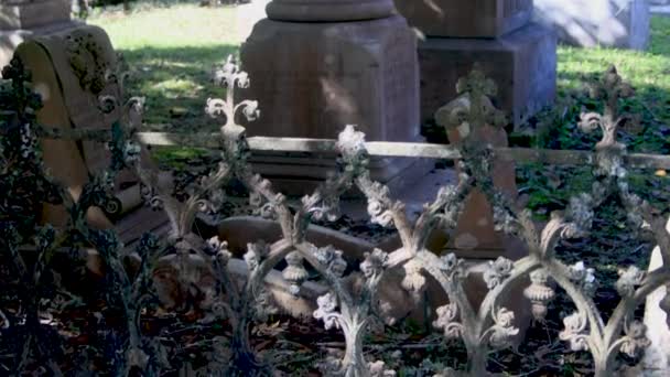 Cementerio Del Sur Con Robles Vivos Imágenes Alta Calidad — Vídeo de stock