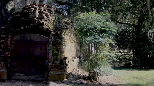 南方的坟场 有活树 高质量的4K镜头 — 图库视频影像
