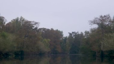 Atchafalaya sonbaharda bataklık teknesinin bataklık görüntüleri. Yüksek kalite 4k görüntü