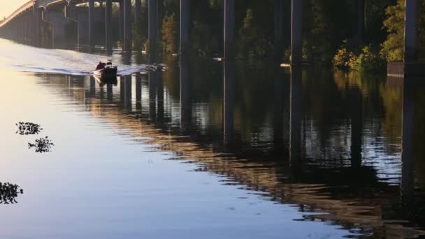 Atchafalaya Swamp Bridge Sunset Louisiana High Quality Footage — Stock Video