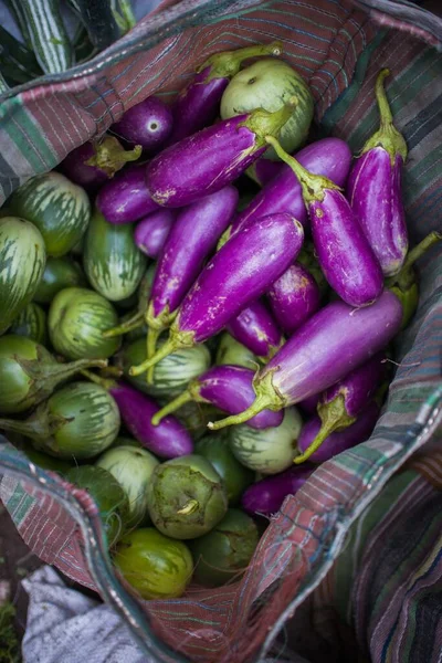 Taze brinjal 'ı kapatın.