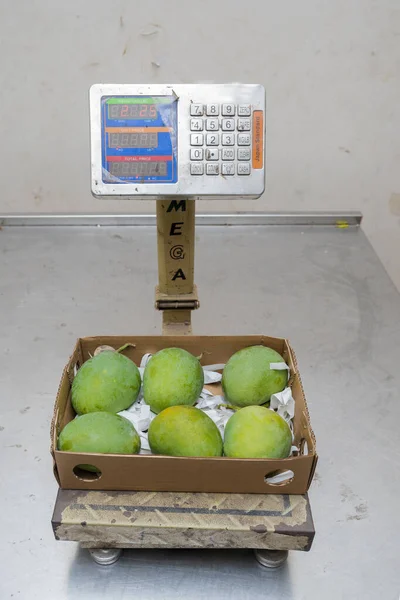 Merkez Paket evine ihraç için Bangladeş mangosu