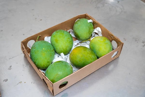 Merkez Paket evine ihraç için Bangladeş mangosu