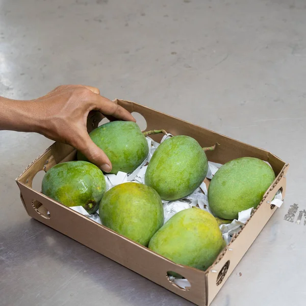 Merkez Paket evine ihraç için Bangladeş mangosu
