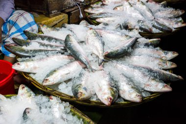 Pazarda taze balık