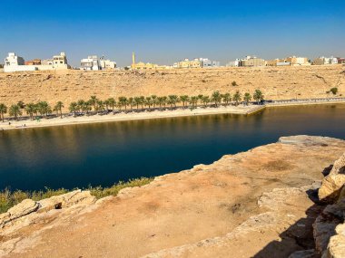 Vadi namar riyad Suudi Arabistan 