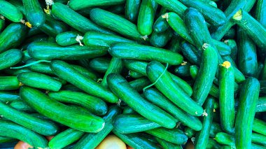 Pazar taze salatalık.