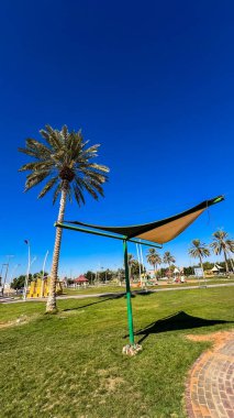 Palmiye ağacının altındaki yaprakların arasından gökyüzü manzarası gibi. 