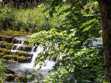 Ormanda şelale, doğa