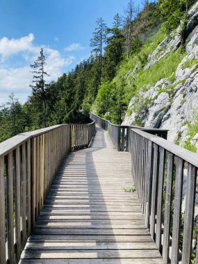 Gaisberg dağ köprüsü, Salzburg, Avusturya
