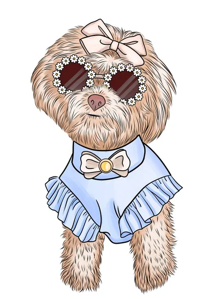 Bichon Frize Lapdog Roztomilý Pes Slunečních Brýlích Ručně Kreslené Ilustrace — Stock fotografie
