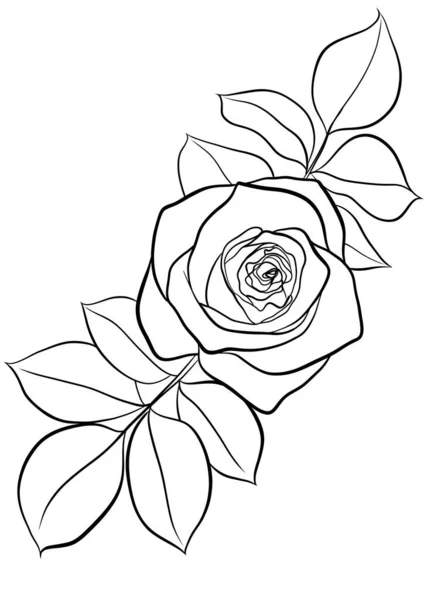 Disegno Bianco Nero Fiori Rosa Illustrazione Disegnata Mano Vostro Disegno — Foto Stock