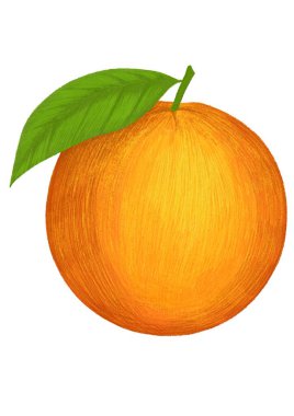 Orange hand drawn illustration isolated on white