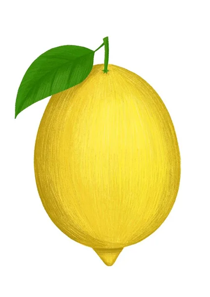 Lemon Fruit Hand Drawn Illustration Isolated — Stock Photo, Image