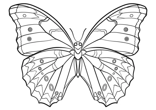 Butterfly Outline Illustration Isolated — Zdjęcie stockowe