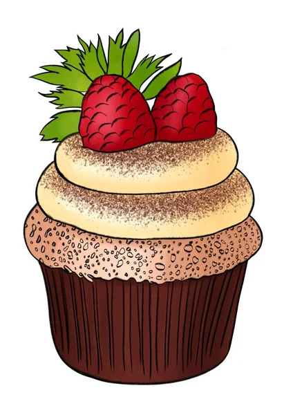 Cupcake Com Framboesas Ilustração Desenhada Mão — Fotografia de Stock