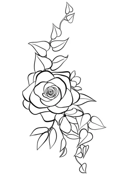 玫瑰花和树叶 线条绘制 彩色页 — 图库照片