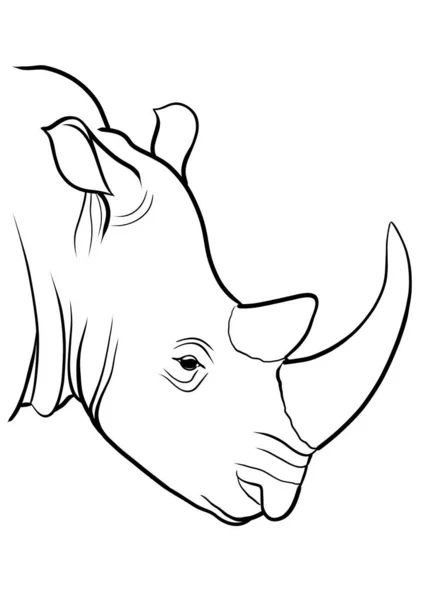 Rhinoceros Чорно Біла Контурна Ілюстрація Розмальовки — стокове фото