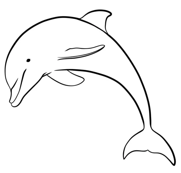 Dolphin Coloring Book Children Outline Drawing — Stock Photo, Image