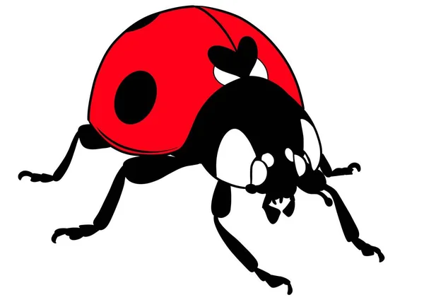 Ladybug Realistic Illustration Isolated — стоковое фото