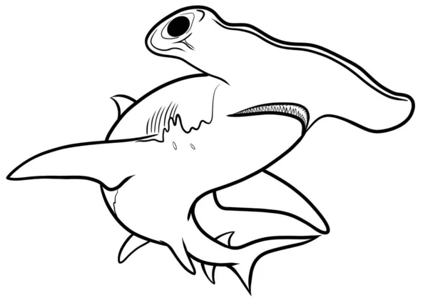 Ilustracja Zarysu Rekina Młotkowatego — Zdjęcie stockowe