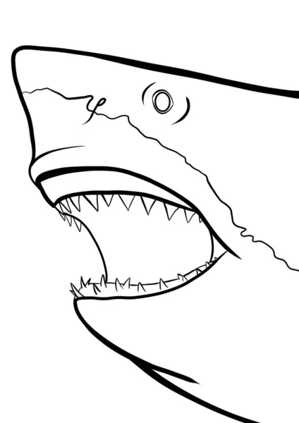 Πρόσωπο Καρχαρία Ανοιχτό Στόμα Περίγραμμα Εικονογράφηση — Φωτογραφία Αρχείου