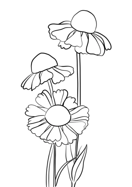 Daffodil Flor Mão Desenhada Linha Ilustração — Fotografia de Stock