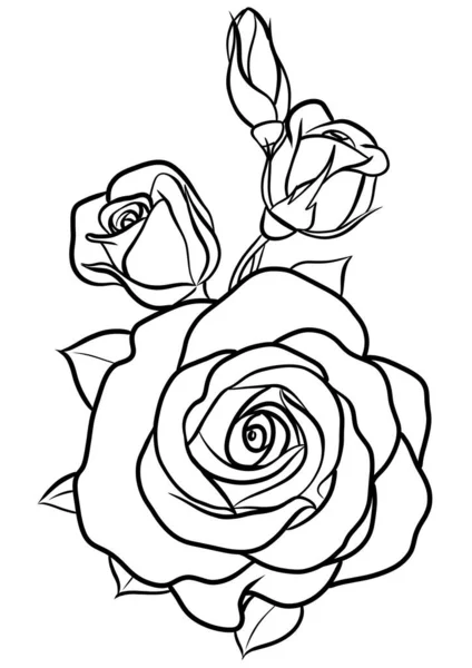 Illustration Contour Fleur Rose — Photo