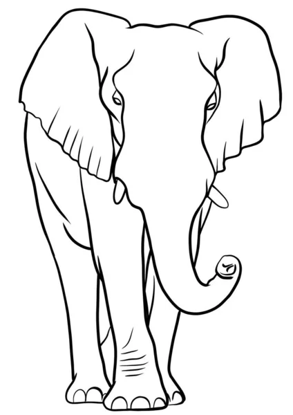 Elephant Outline Illustration Isolated — Stock Photo, Image