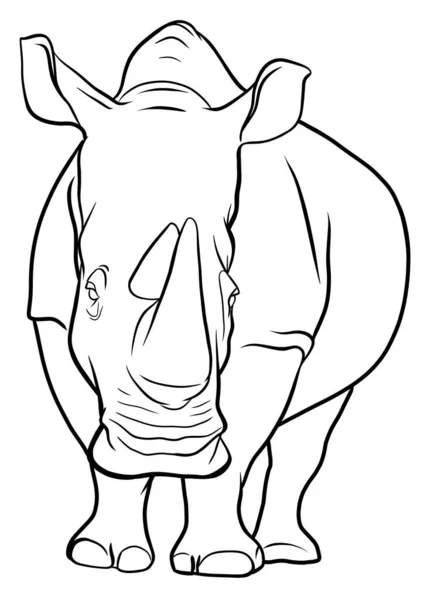 Rhinoceros Illustration Coloring Book — Stock Photo, Image