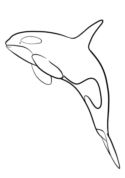 オルカ クジラのアウトラインイラスト — ストック写真
