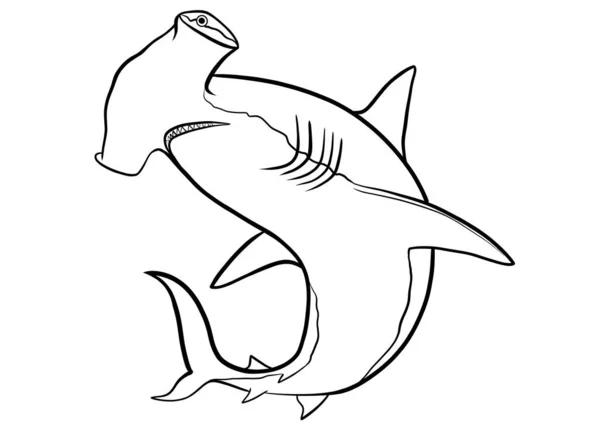 ハンマーヘッドサメのアウトラインイラスト — ストック写真