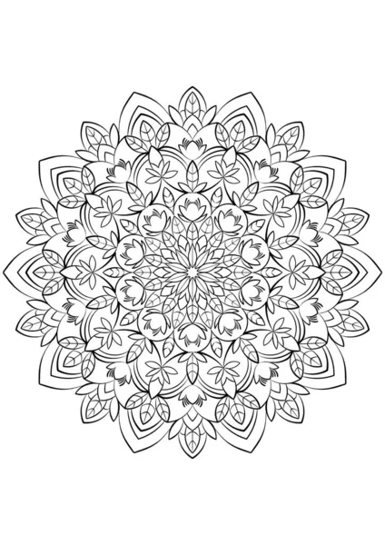 Mandala Floral Illustration Contour Sur Fond Transparent Livre Coloriage Stress — Photo