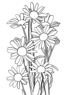 boyama kitabı için papatya tasviri