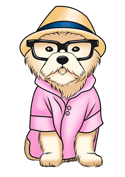 Lindo Cachorro Con Sombrero Gafas Ilustración Dibujos Animados —  Fotos de Stock