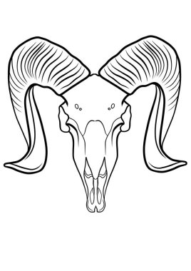 Ram kafatası çizimi çizimi