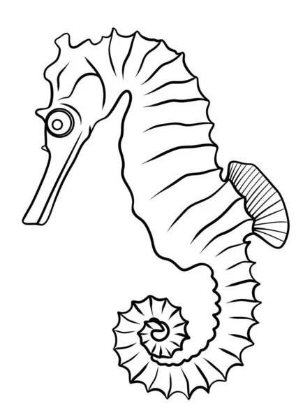Deniz atı taslak çizimi, logo, boyama kitabı sayfası