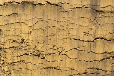 Kazı kovası çalıştıktan sonra çatlamış claish yüzeyi