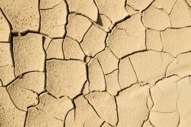 Güneş ışığında kurumuş çamur.