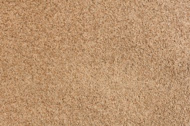 Kabataslak duvar alçı dokusu arka planı 